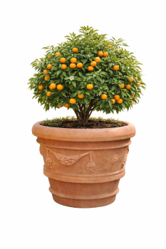 Preview: Klassischer Impruneta Blumentopf - Vaso festonato